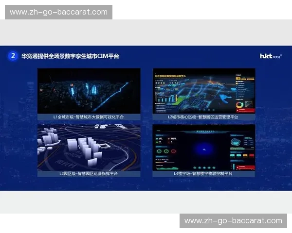 开云体育数据模型：引领体育数据分析新时代